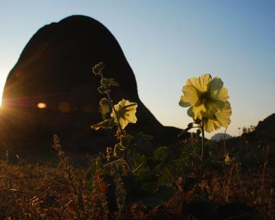 Прикрепленное изображение: -DSC_0079.jpg